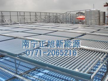 1733212427525.jpg